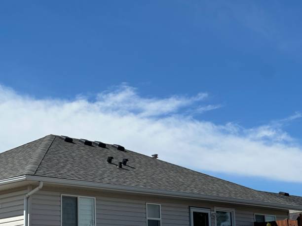 Best Asphalt Shingles Roofing  in Creston, OH